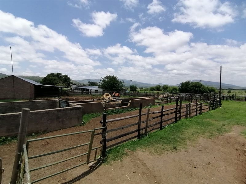 740 Hectares Cattle Farm - Photo 6