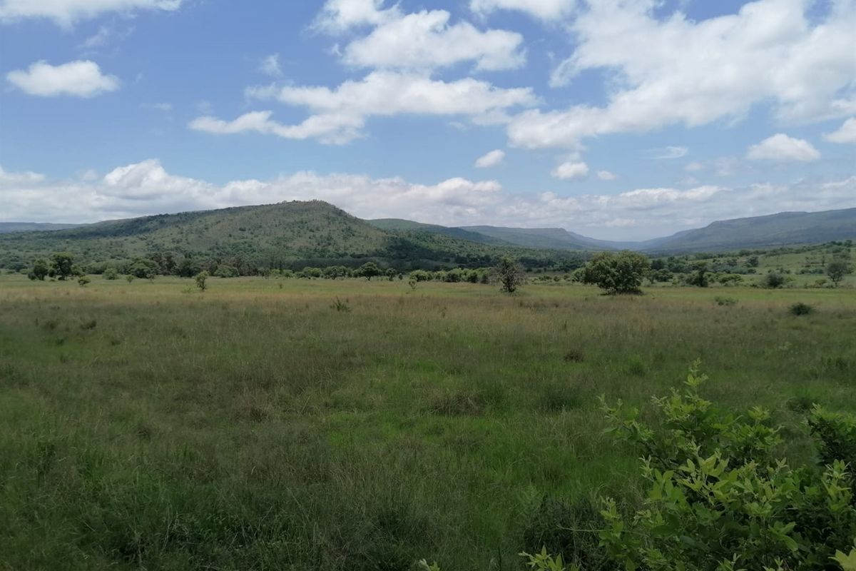 740 Hectares Cattle Farm - Photo 3
