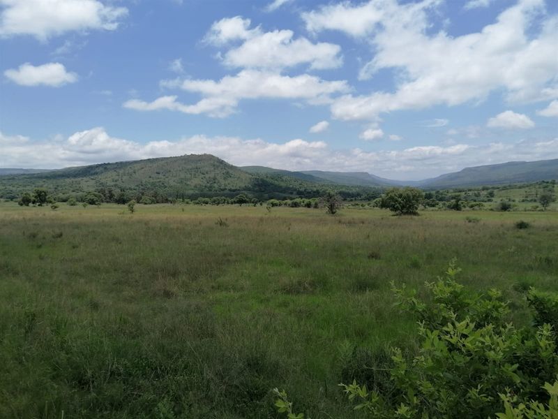 740 Hectares Cattle Farm - Photo 3