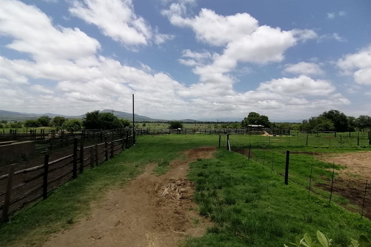 740 Hectares Cattle Farm - Photo 2