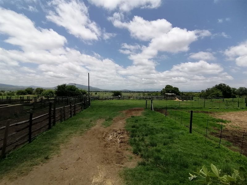 740 Hectares Cattle Farm - Photo 2