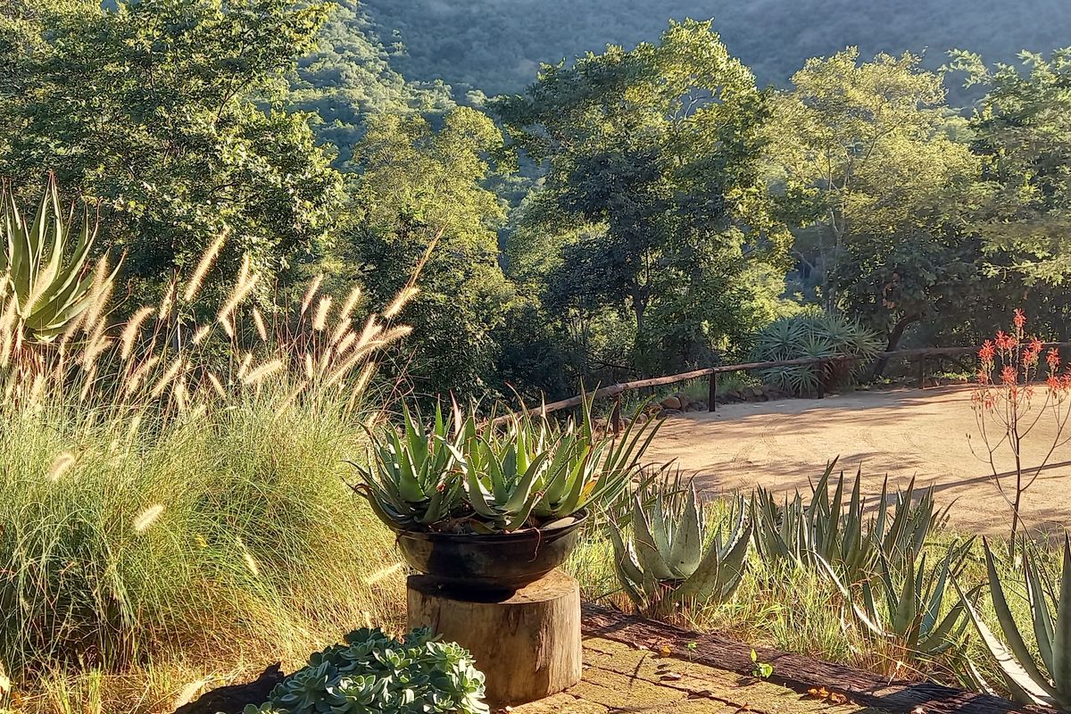 Exclusive 85ha Conservancy Retreat with Modern Elegance in the Lowveld - Photo 5