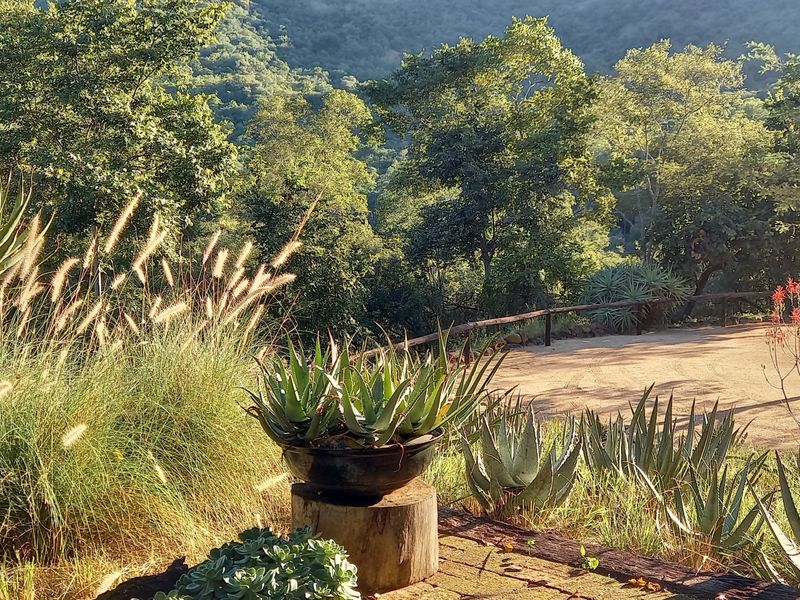 Exclusive 85ha Conservancy Retreat with Modern Elegance in the Lowveld - Photo 5