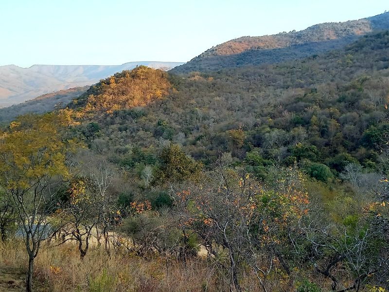 Exclusive 85ha Conservancy Retreat with Modern Elegance in the Lowveld - Photo 7