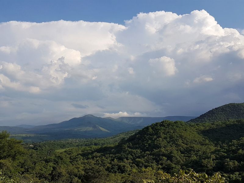 Exclusive 85ha Conservancy Retreat with Modern Elegance in the Lowveld - Photo 9