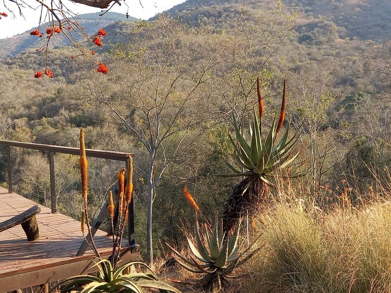 Exclusive 85ha Conservancy Retreat with Modern Elegance in the Lowveld - Photo 8