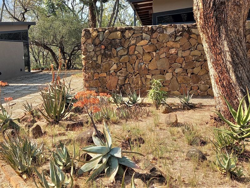 Exclusive 85ha Conservancy Retreat with Modern Elegance in the Lowveld - Photo 6