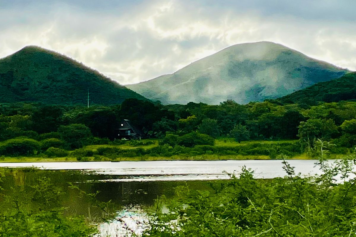 Mauricedale Game Ranch & Boulders Safari Lodge Private reserve - Photo 3