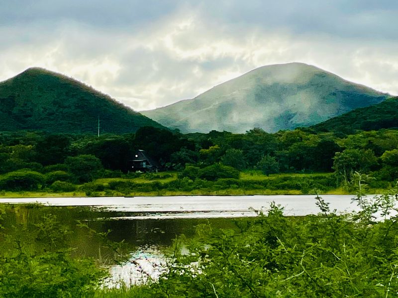 Mauricedale Game Ranch & Boulders Safari Lodge Private reserve - Photo 3