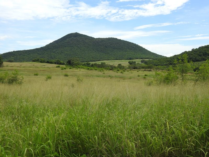 Mauricedale Game Ranch & Boulders Safari Lodge Private reserve - Photo 10