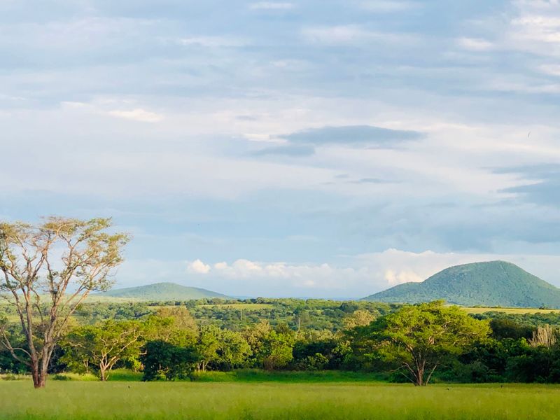 Mauricedale Game Ranch & Boulders Safari Lodge Private reserve - Photo 9