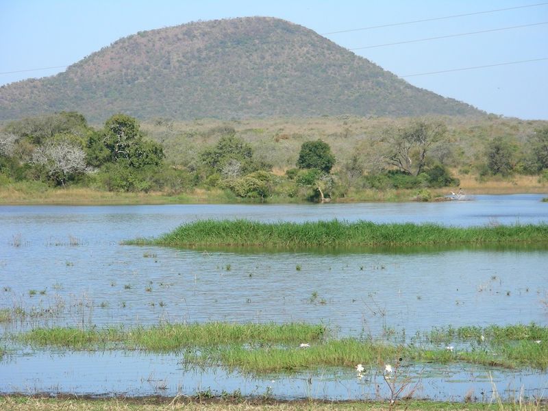 Mauricedale Game Ranch & Boulders Safari Lodge Private reserve - Photo 8