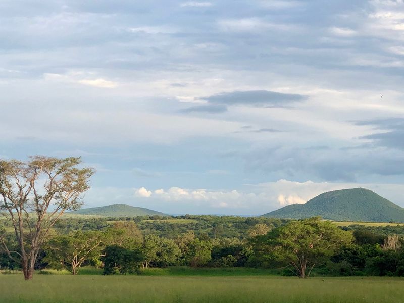 Mauricedale Game Ranch & Boulders Safari Lodge Private reserve - Photo 7
