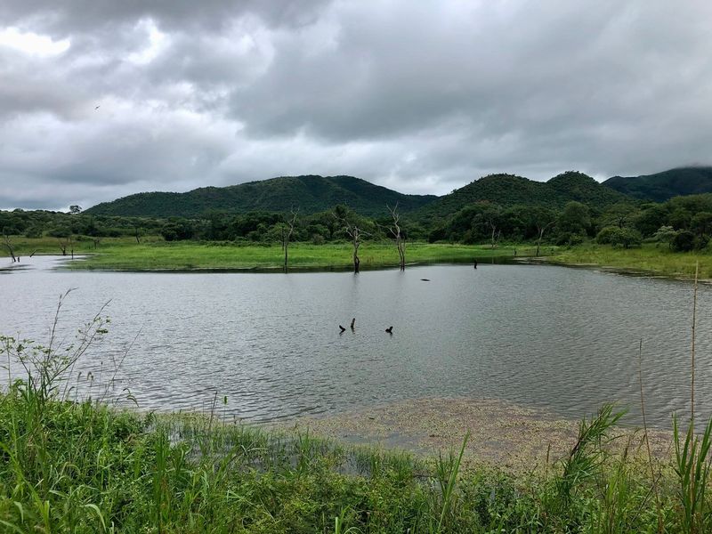 Mauricedale Game Ranch & Boulders Safari Lodge Private reserve - Photo 6