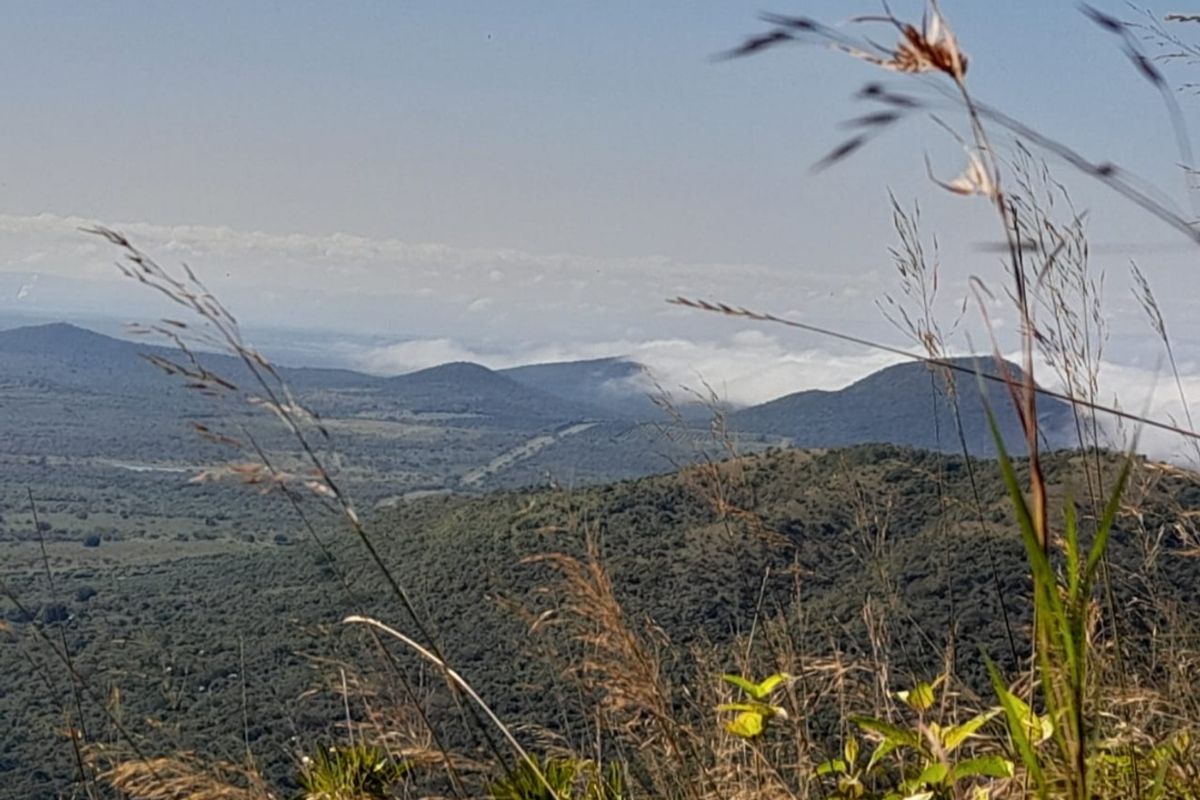 Mauricedale Game Ranch & Boulders Safari Lodge Private reserve - Photo 4