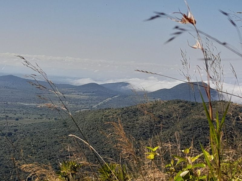 Mauricedale Game Ranch & Boulders Safari Lodge Private reserve - Photo 4