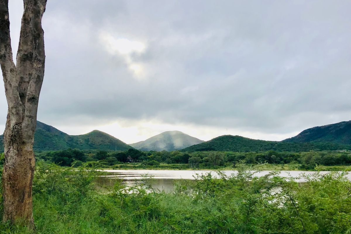 Mauricedale Game Ranch & Boulders Safari Lodge Private reserve - Photo 2