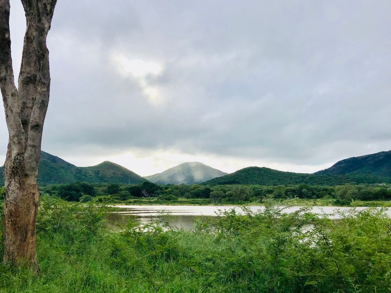 Mauricedale Game Ranch & Boulders Safari Lodge Private reserve - Photo 2