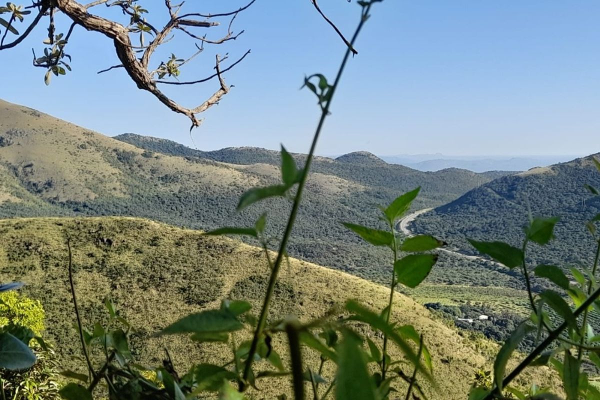 Mauricedale Game Ranch & Boulders Safari Lodge Private reserve - Photo 5