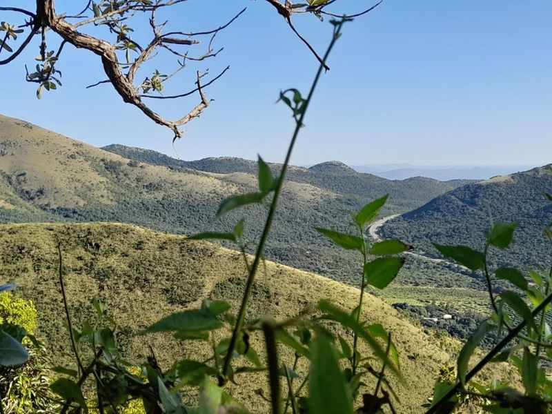 Mauricedale Game Ranch & Boulders Safari Lodge Private reserve - Photo 5