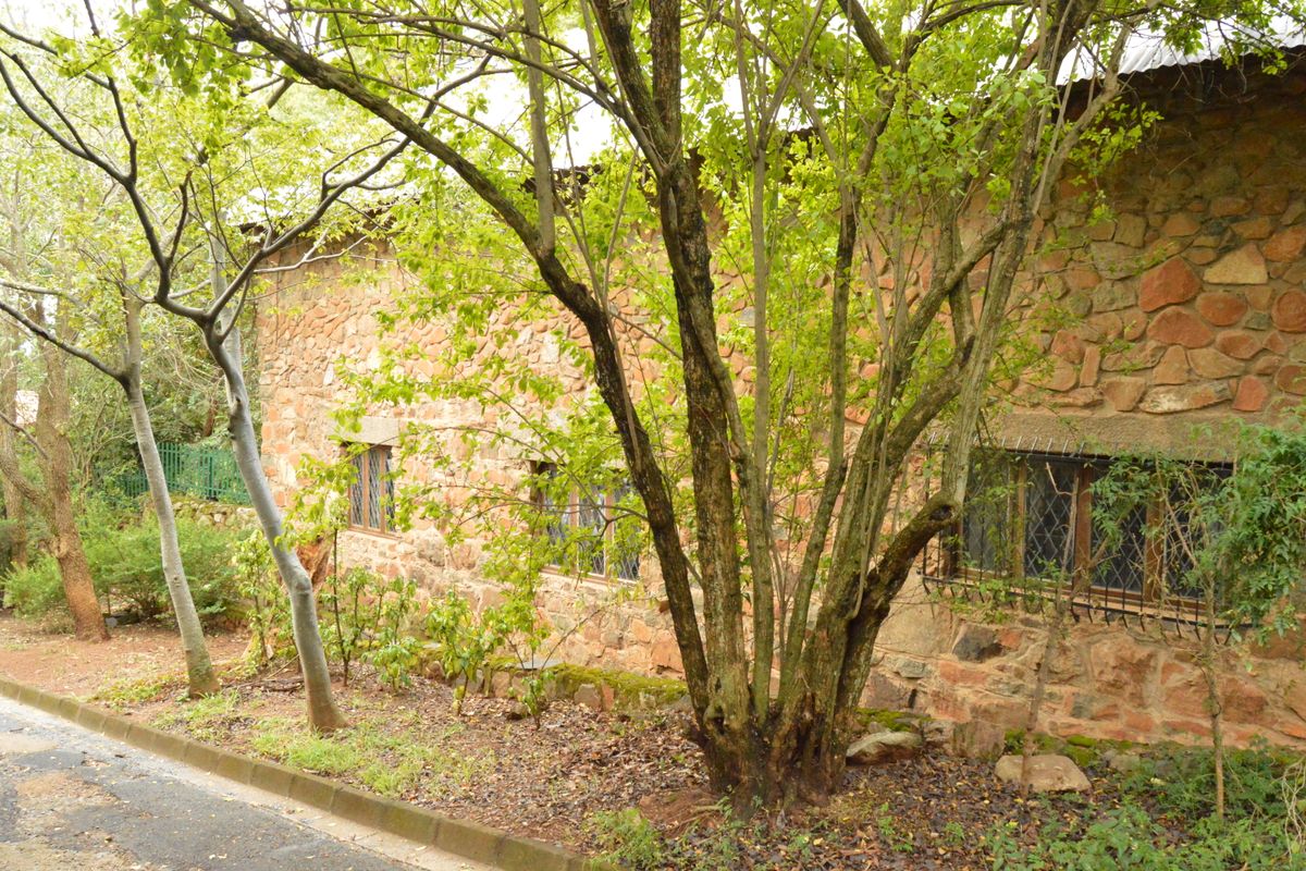 Historical Family Home - Photo 5