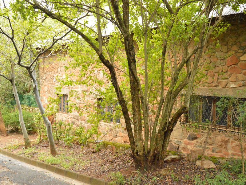 Historical Family Home - Photo 5