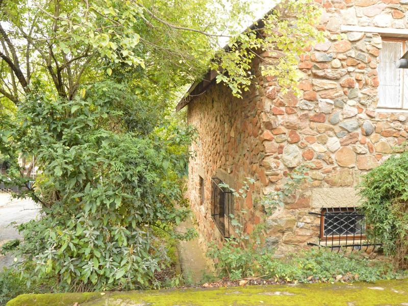 Historical Family Home - Photo 1
