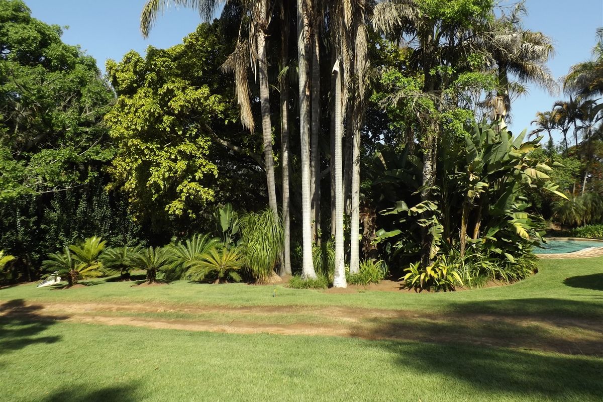 Macadamia Farm - Photo 3