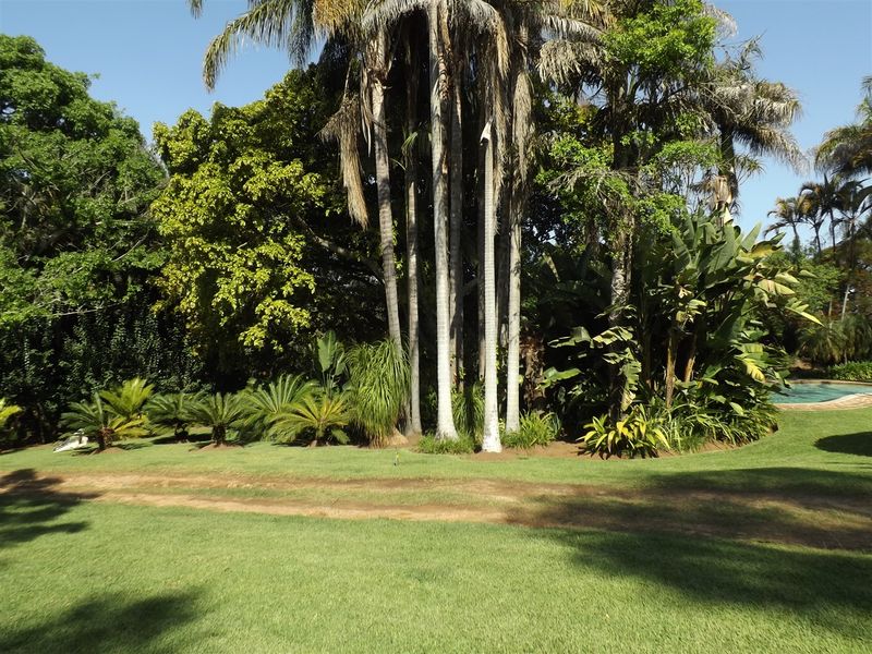 Macadamia Farm - Photo 3