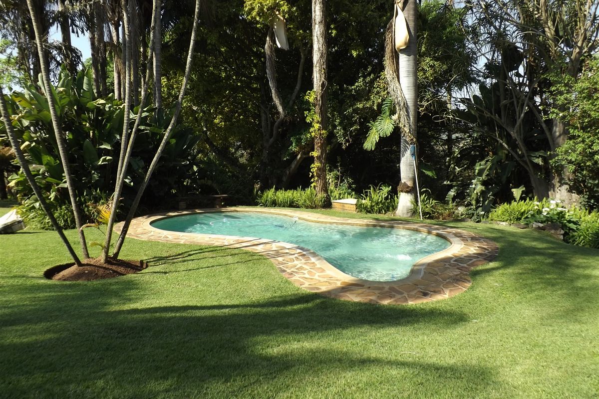 Macadamia Farm - Photo 2