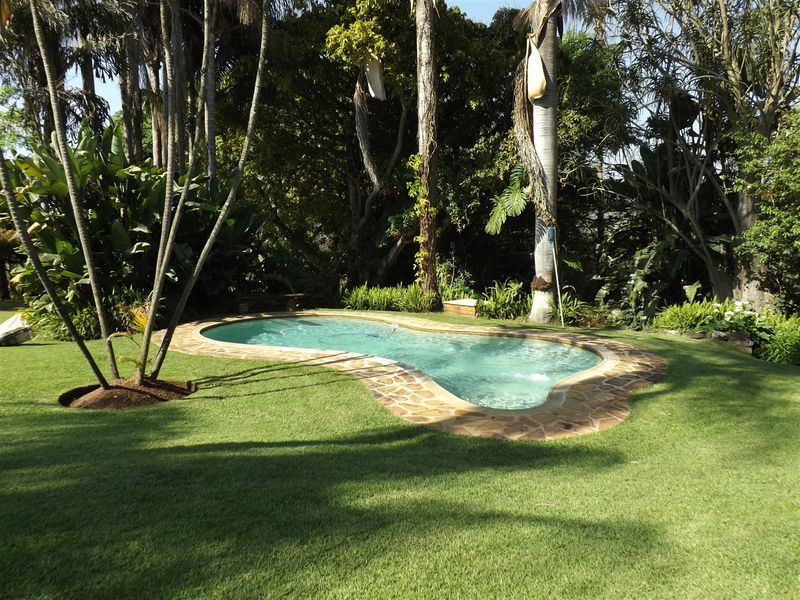 Macadamia Farm - Photo 2