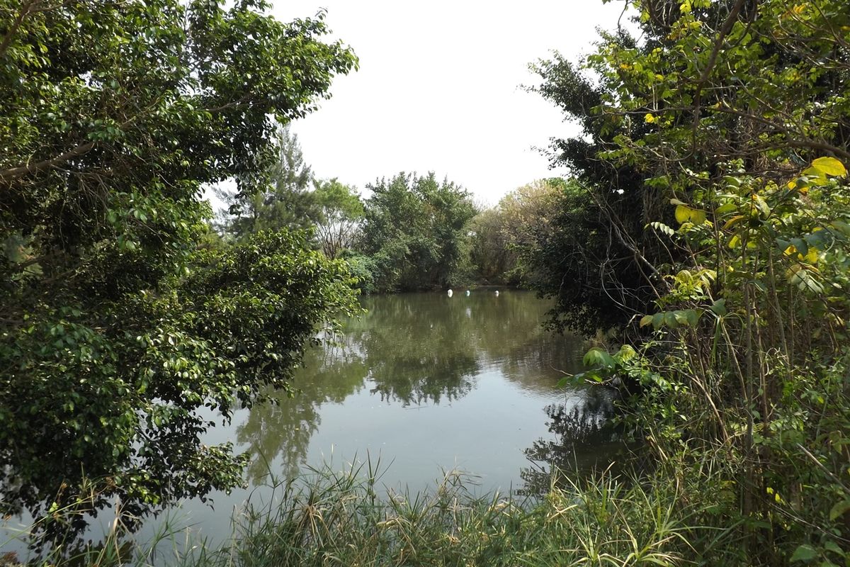 Farm - Excellent location - Photo 5