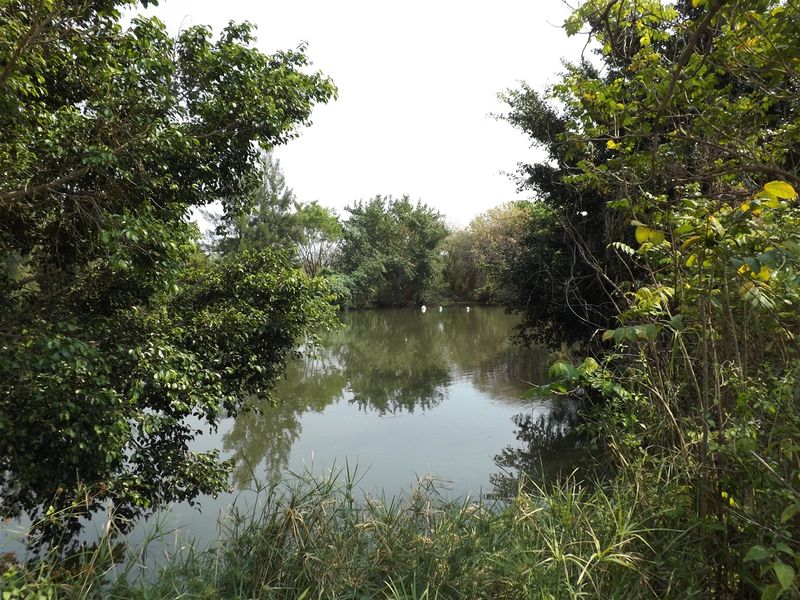 Farm - Excellent location - Photo 5