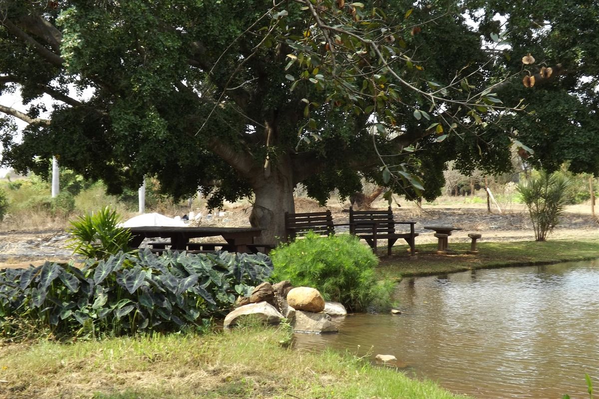 Farm - Excellent location - Photo 3