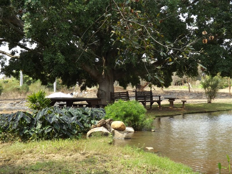 Farm - Excellent location - Photo 3