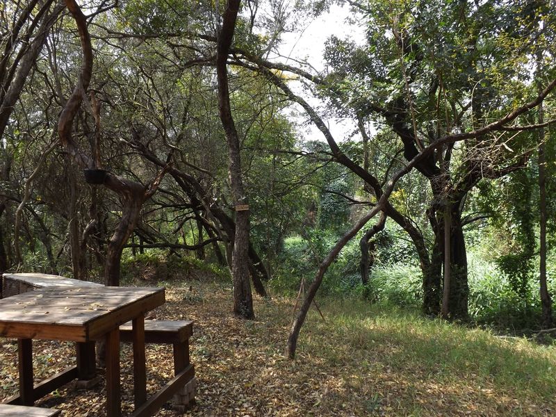 Farm - Excellent location - Photo 9