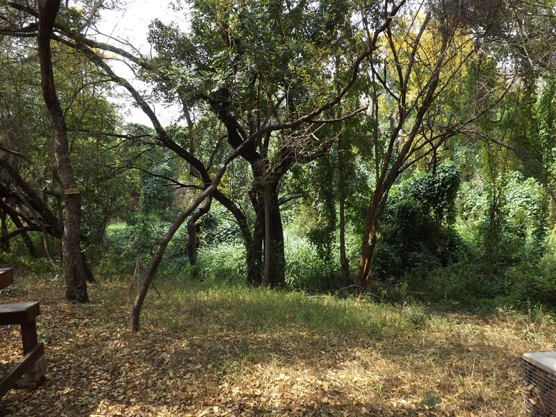 Farm - Excellent location - Photo 8