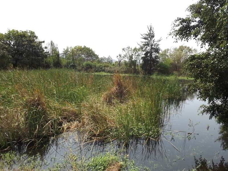 Farm - Excellent location - Photo 7