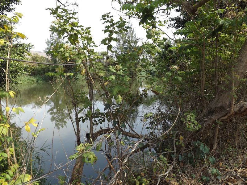 Farm - Excellent location - Photo 6