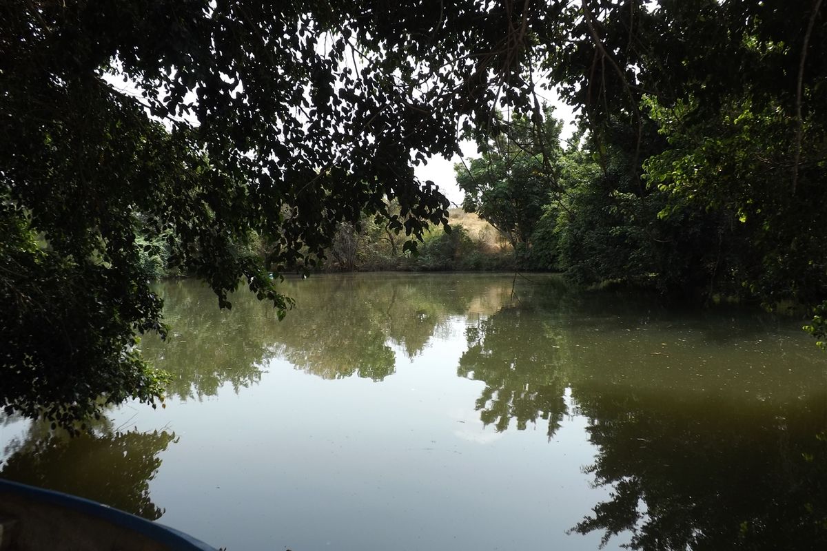 Farm - Excellent location - Photo 2