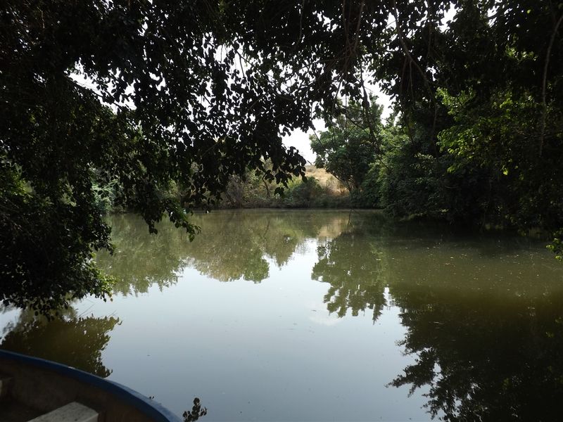 Farm - Excellent location - Photo 2