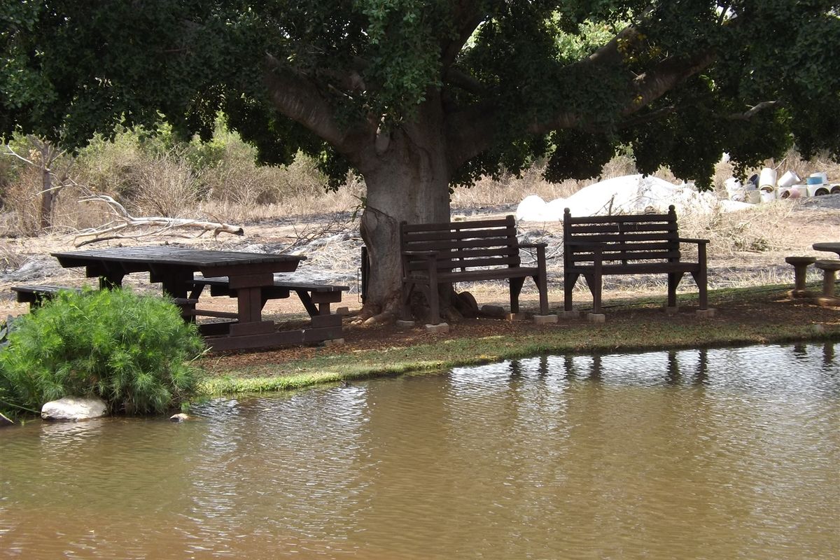 Farm - Excellent location - Photo 4