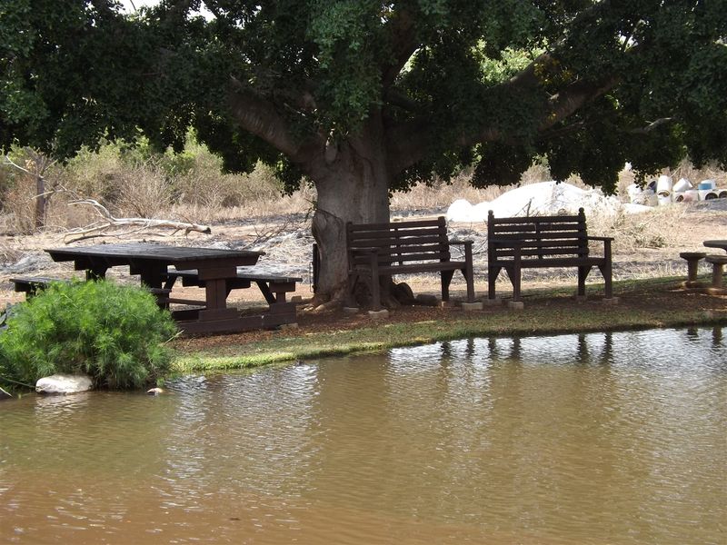 Farm - Excellent location - Photo 4