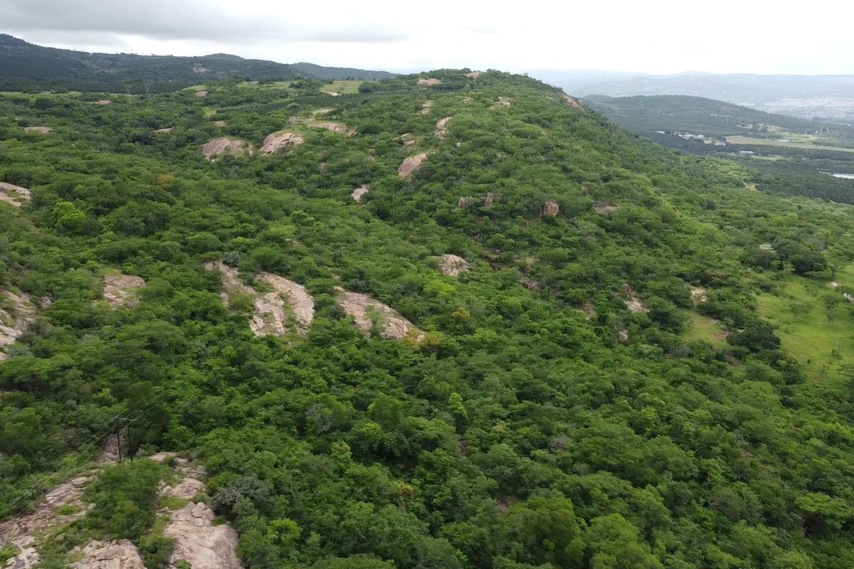 An expansive aerial view of the natural landscape, featuring rolling hills covered in dense indigenous vegetation and rocky outcrops.