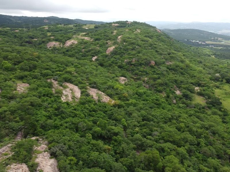 Pristine mountainous bush - Vacant Land - Photo 2
