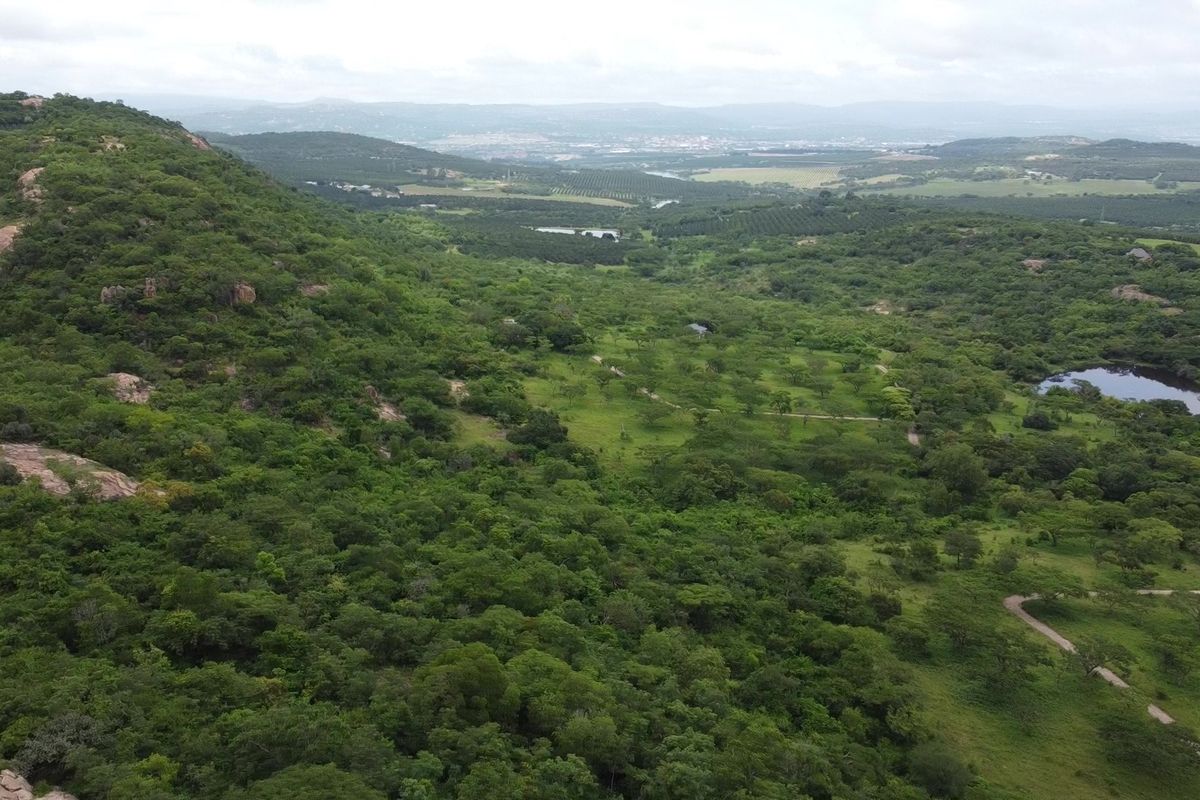 An expansive aerial view of the farm landscape featuring rolling hills, dense natural vegetation, dirt access paths, and a small dam.