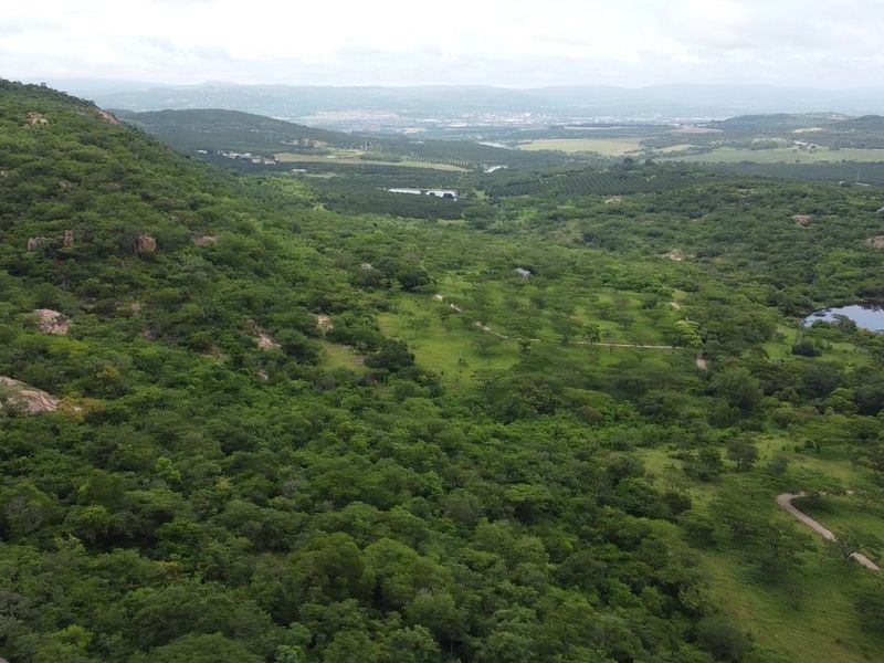 Pristine mountainous bush - Vacant Land - Photo 3