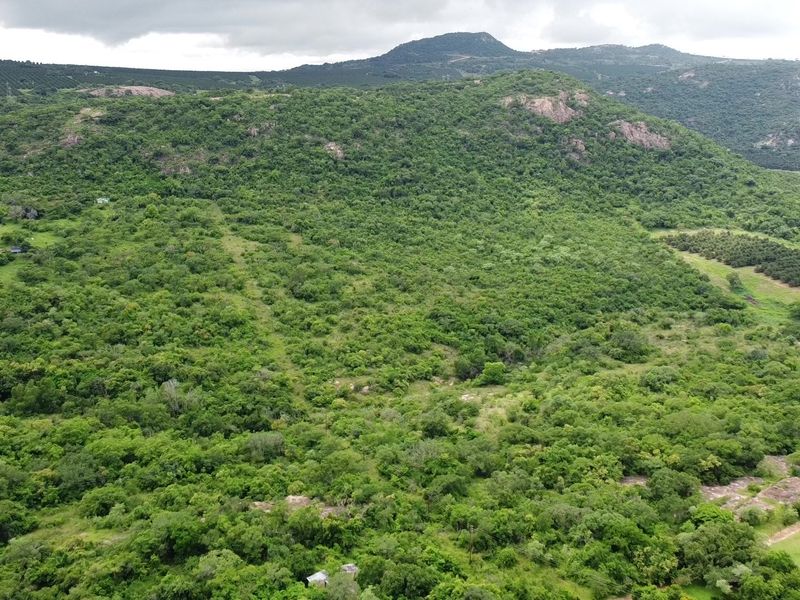Pristine mountainous bush - Vacant Land - Photo 9