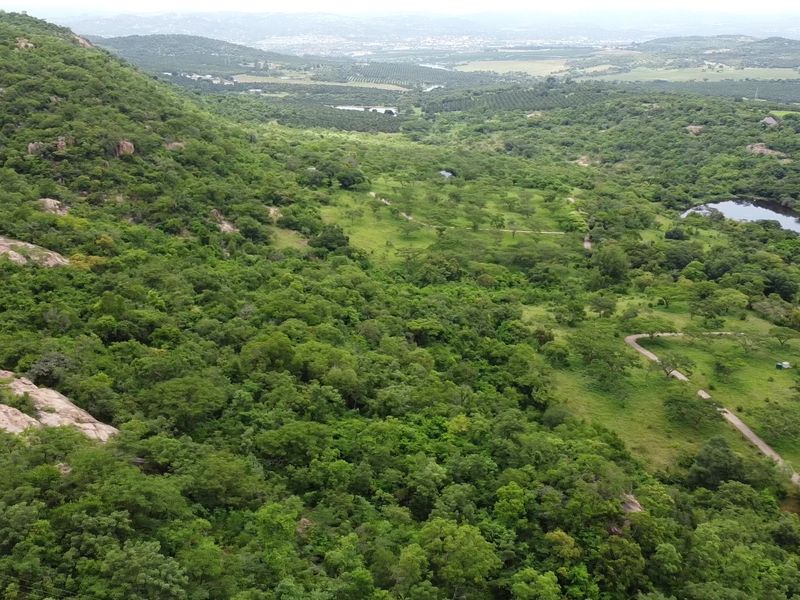 Pristine mountainous bush - Vacant Land - Photo 7