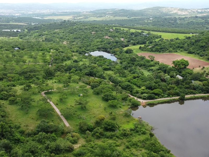 Pristine mountainous bush - Vacant Land - Photo 6
